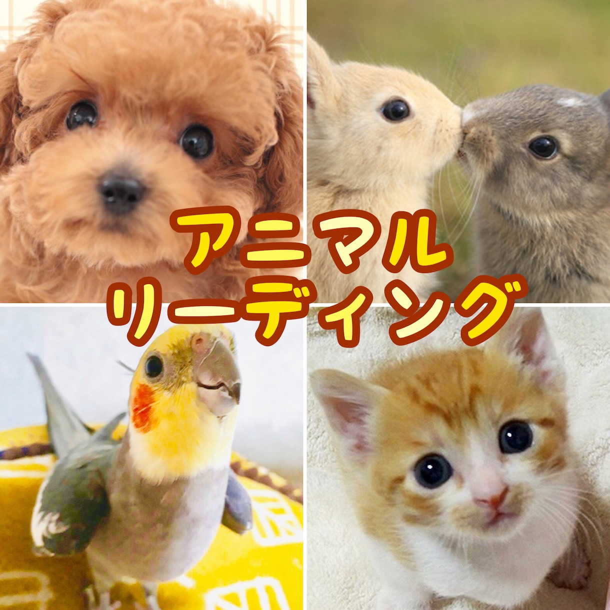 この子は何を想いどんな事を考えてるのかお伝えします ペットちゃんの気持ちをお伝えします！ イメージ1