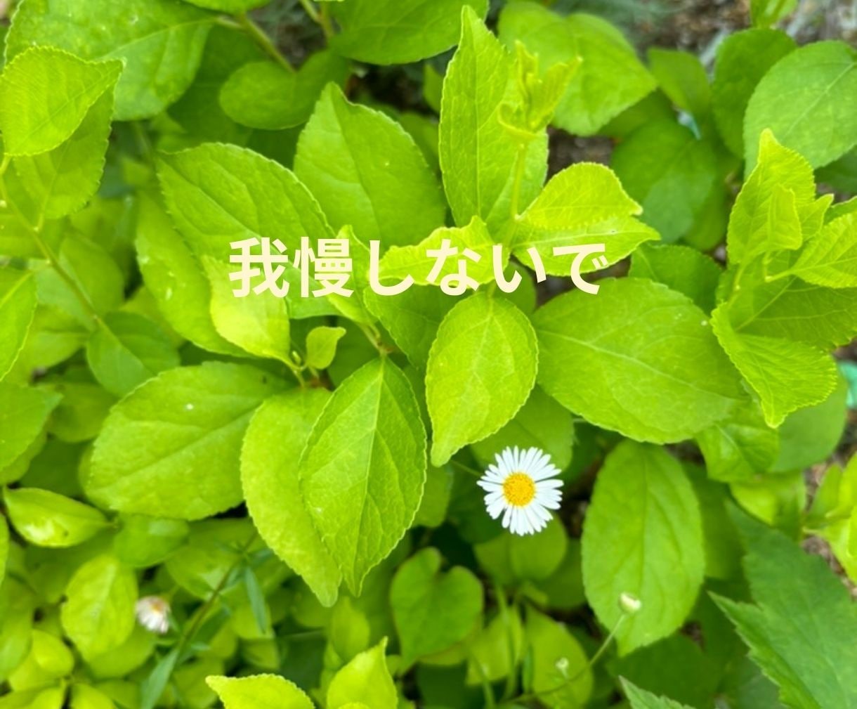 ゆるっと雑談・気分転換に寄り添います あなたの「話したい」気持ちを優しくサポートします イメージ2