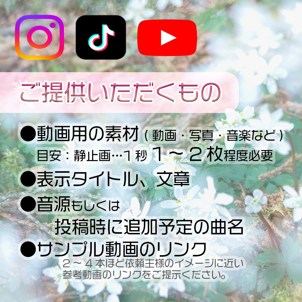 SNS用ショート動画■2本作ります 格安なのにハイクオリティと好評！！リピーター様多数！！ イメージ4