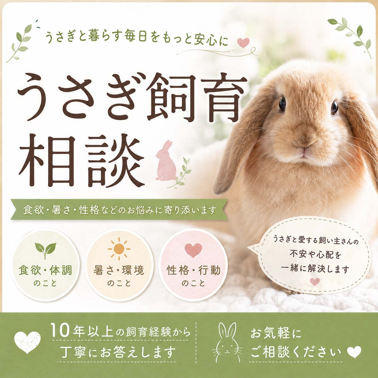 食欲・ケア・性格等、うさぎ飼育のお悩み相談受けます 初心者さんから、長年一緒に暮らす方まで、丁寧に相談受けます イメージ1