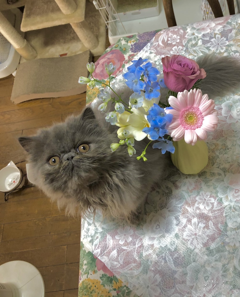 あなたを笑顔にさせます 恋愛.お仕事.日常での困ったことなどなど。 イメージ1