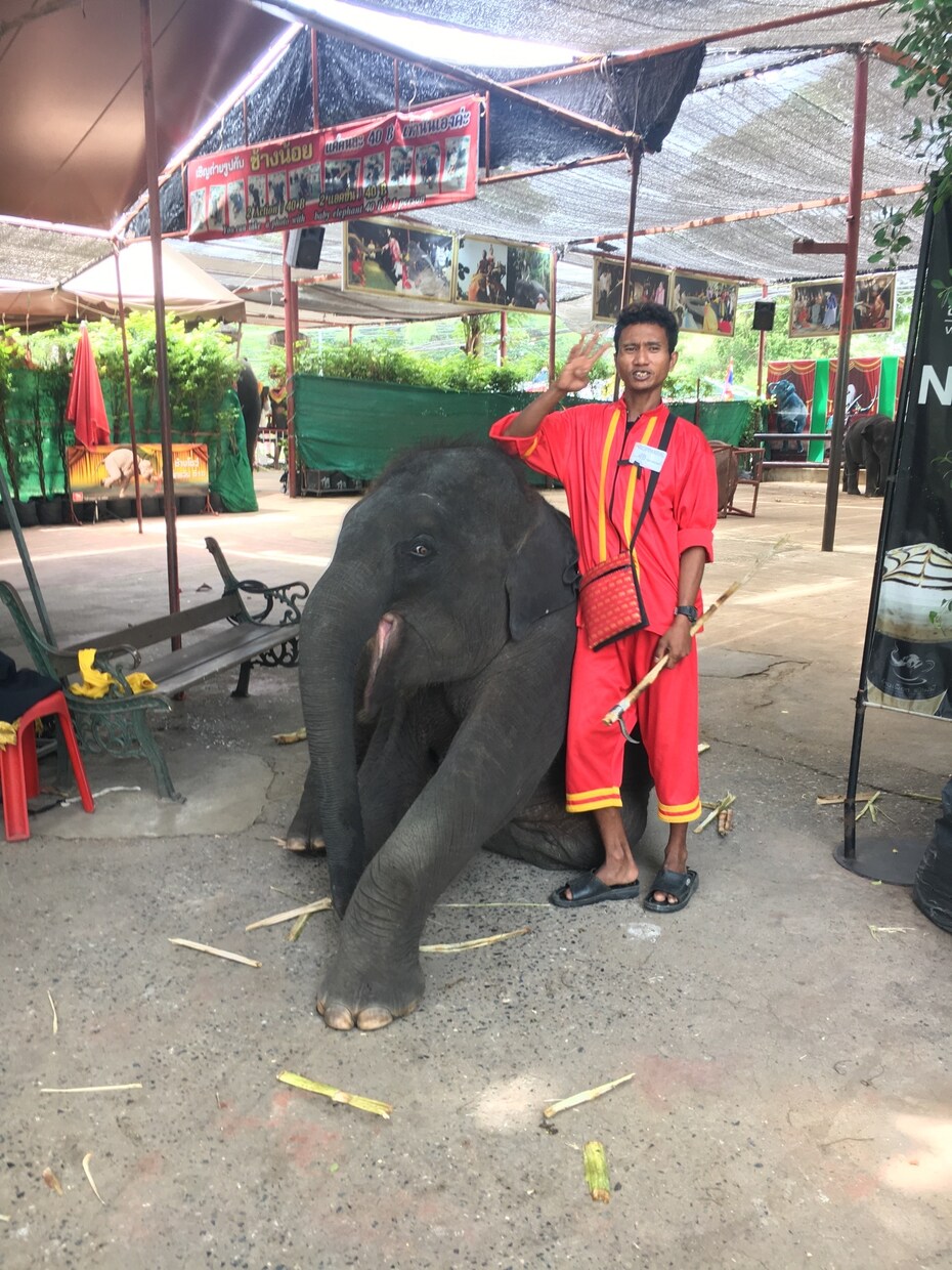 タイのおすすめ教えます タイで何しよう？何食べよう？というあなたへ イメージ1