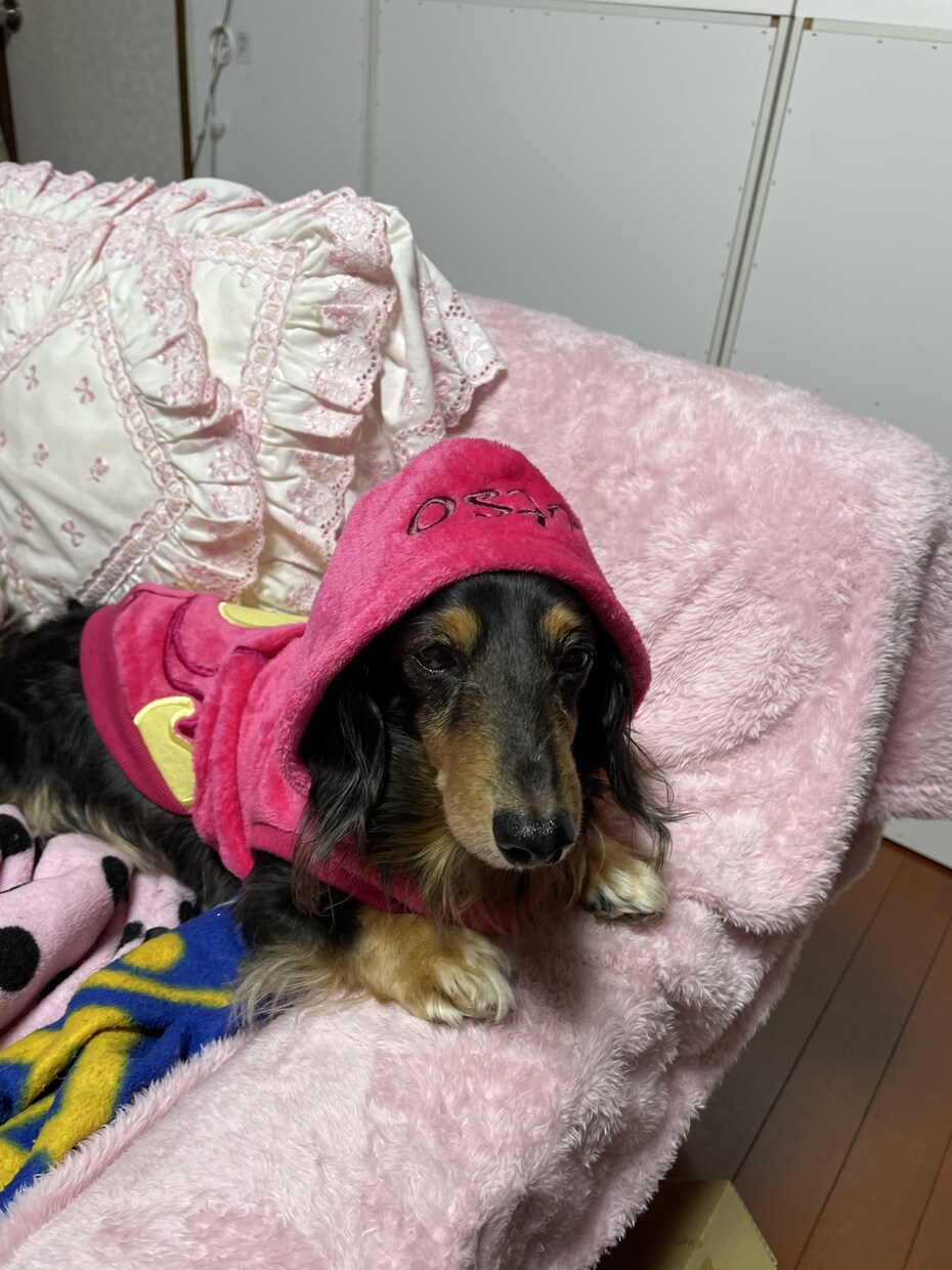 あなたの心に潜む悩み事に寄り添います 誰にも言えない、だけど話したいこと、お聞きします。 イメージ4
