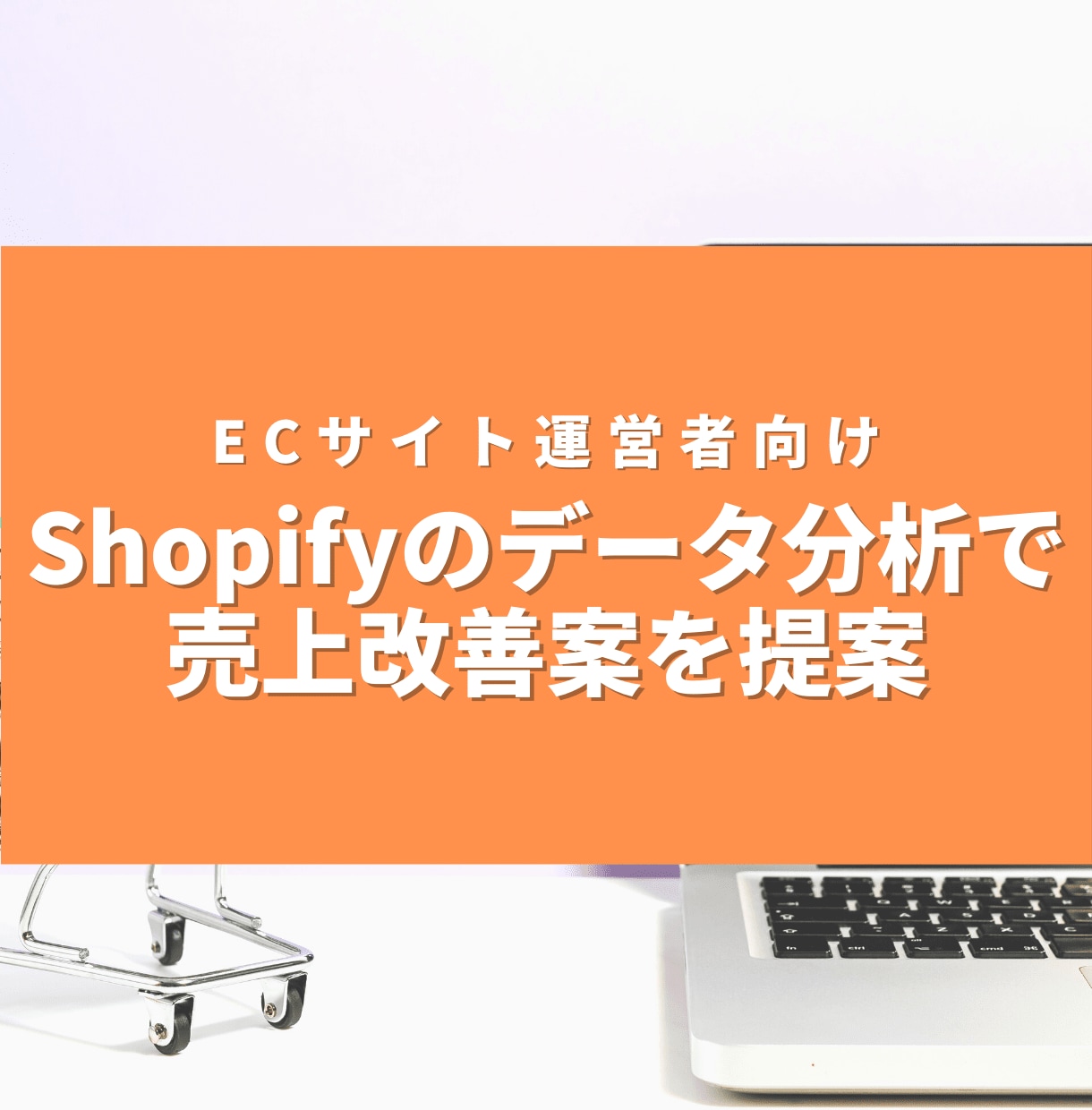 Shopifyのデータ分析で売上改善案を提案します データ分析から施策をご提案します イメージ1