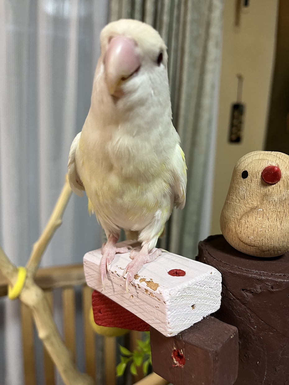 あなたに寄り添うタロット占いします あげ鑑定なしですが、寄り添った鑑定します イメージ2