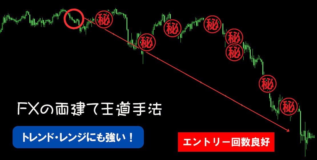 FXの両建てで手堅く驚異的！王道手法を伝授します 高度なスキルはなし。エントリー利確、両建てを明確に伝えます。 イメージ7