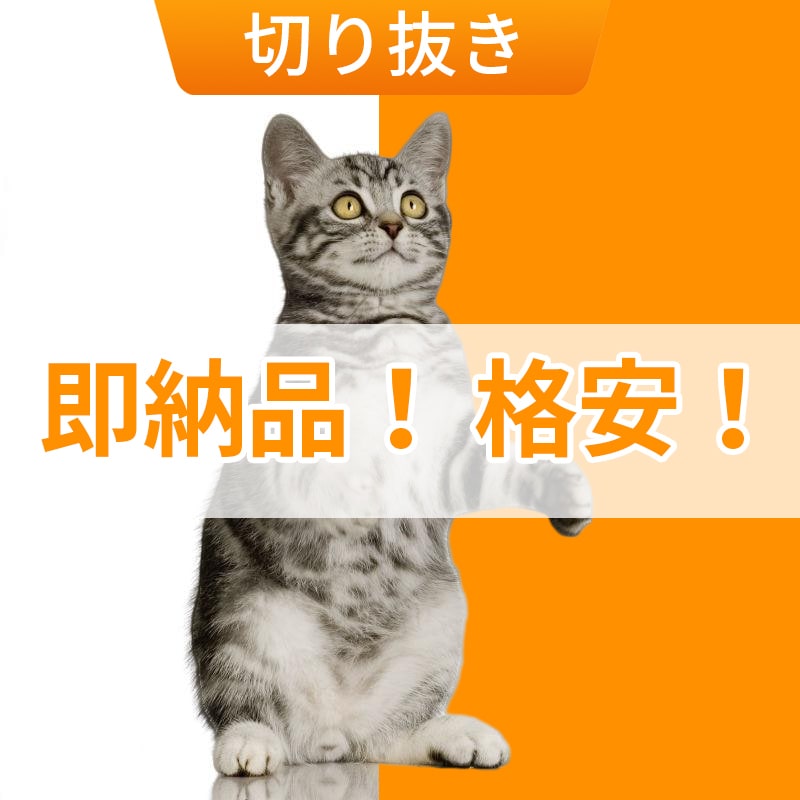 即納品&格安！白抜き、背景透明、写真加工します 切り抜き、色変更、不要物の除去、美容レタッチなど全て対応！ イメージ2