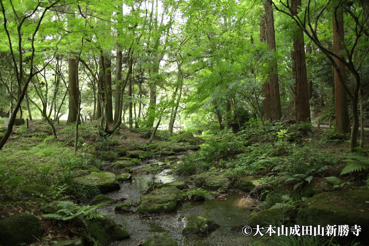 強力縁結び♡成田山の愛染明王に良縁を祈ります 運命の恋を叶える♡日本有数のパワースポットで恋愛成就♡ イメージ5