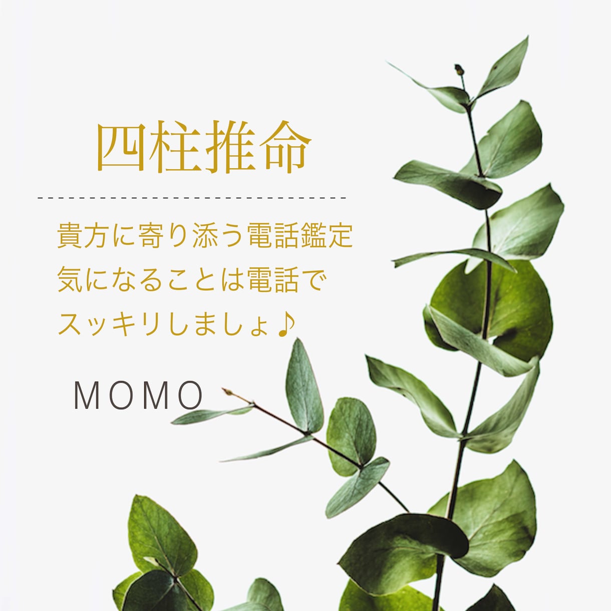 四柱推命で占い相談 テンポよくお話聞きます お悩みに対し四柱推命を用いて的確なアドバイスをします。 イメージ1