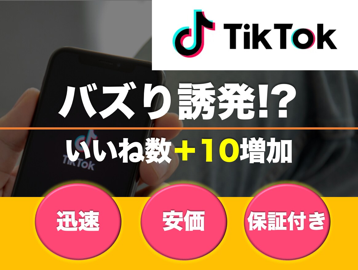 TikTokいいね数＋10いくまで宣伝します お客様の理解を前提に効果の実感をして頂きます！ イメージ1