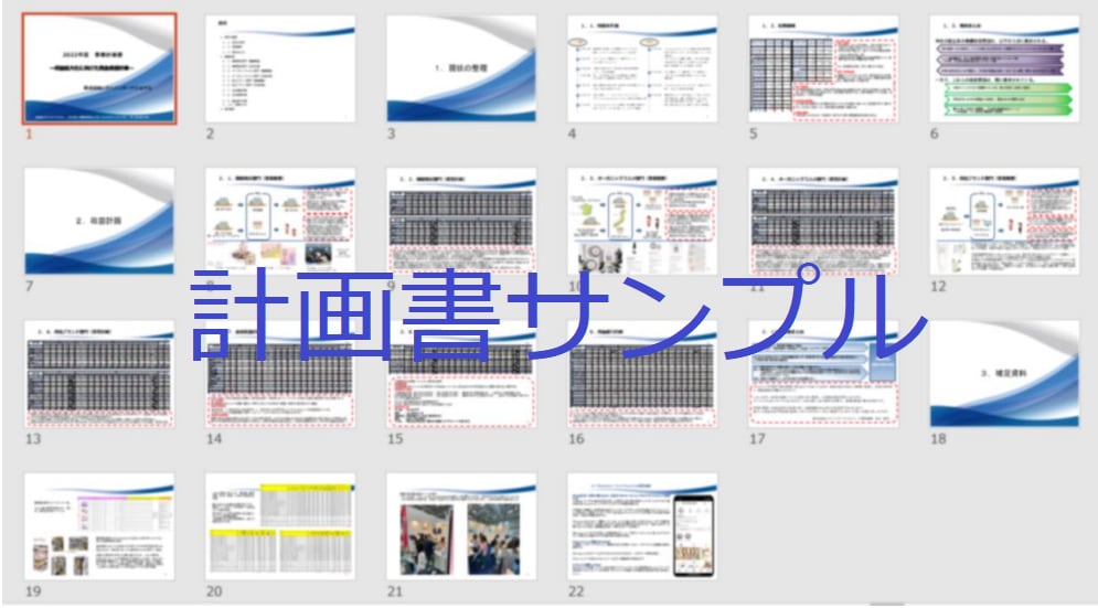 現役銀行員が融資に通るための事業計画書を作成します 勤務歴20年！ベテランの経験で審査のポイントを押さえて作成！ イメージ2