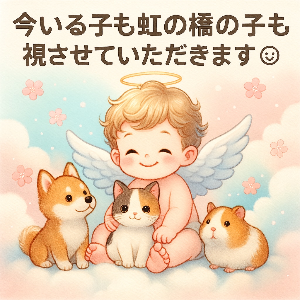 深く深く今いる子も虹の橋の子も視させていただきます 言葉にできない想い、あなたの代わりにお伝えいたします☺︎ イメージ3