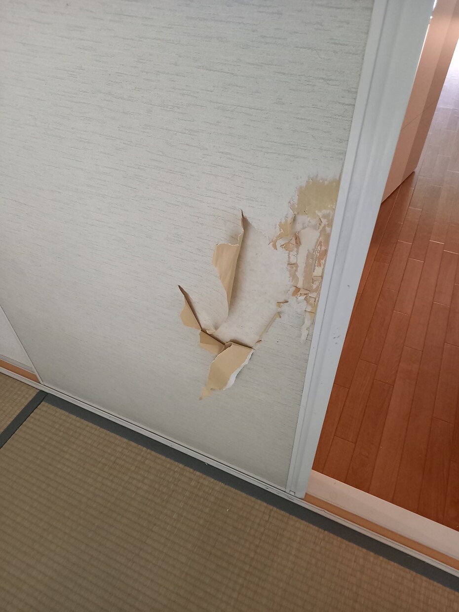 賃貸アパート退去費用を極限減額する方法教えます 退去前の事前対策が圧倒的に効果大!（こちらは電話相談です） イメージ4