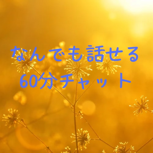 チャットで60分　あなたのお話じっくり聞きます お悩み･弱音･愚痴･雑談も、なんでも イメージ1