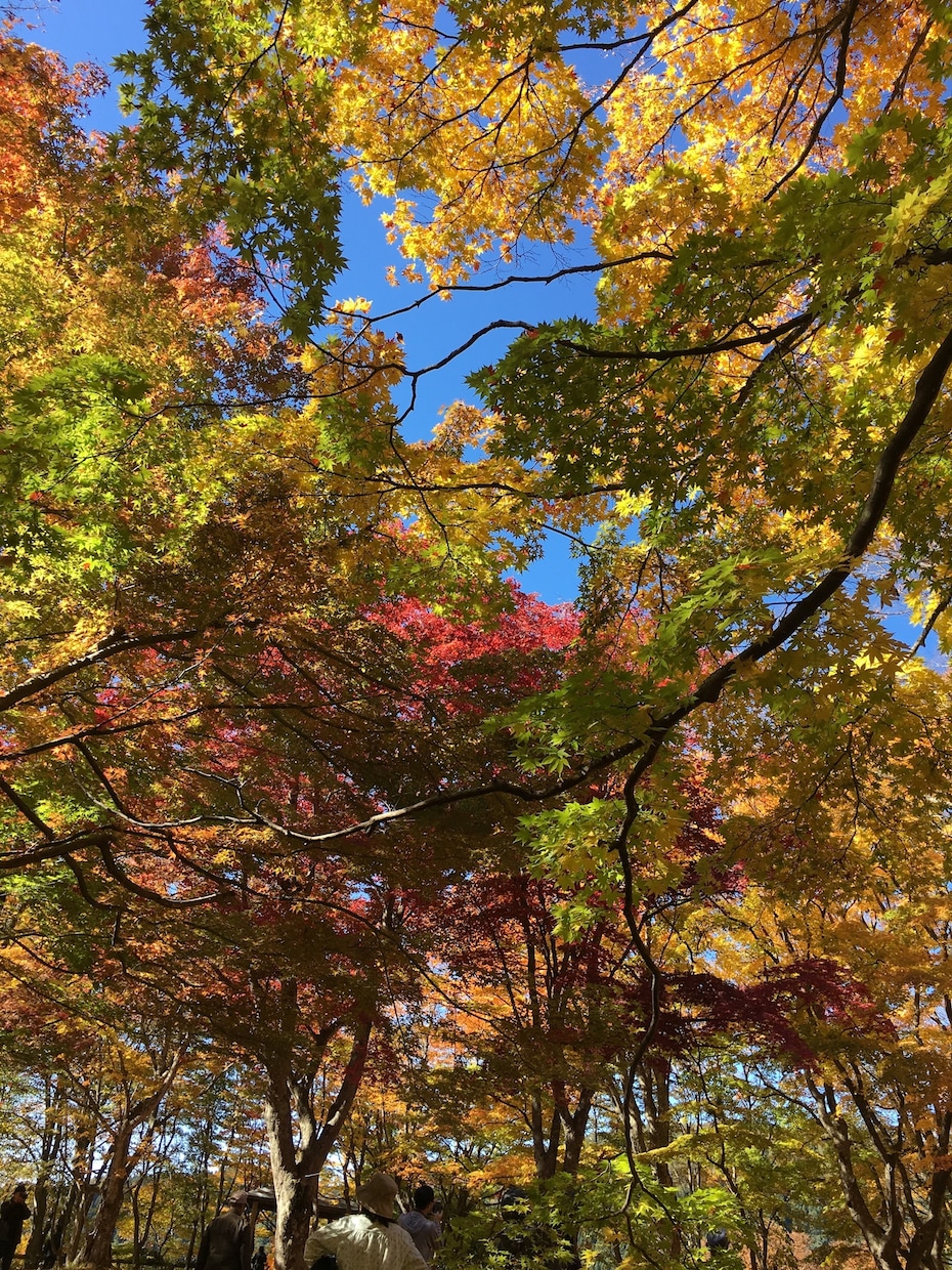 今誰かに話したいをわたしがききます なかなか身近な人には話せない…第三者の私に話してみませんか？ イメージ1