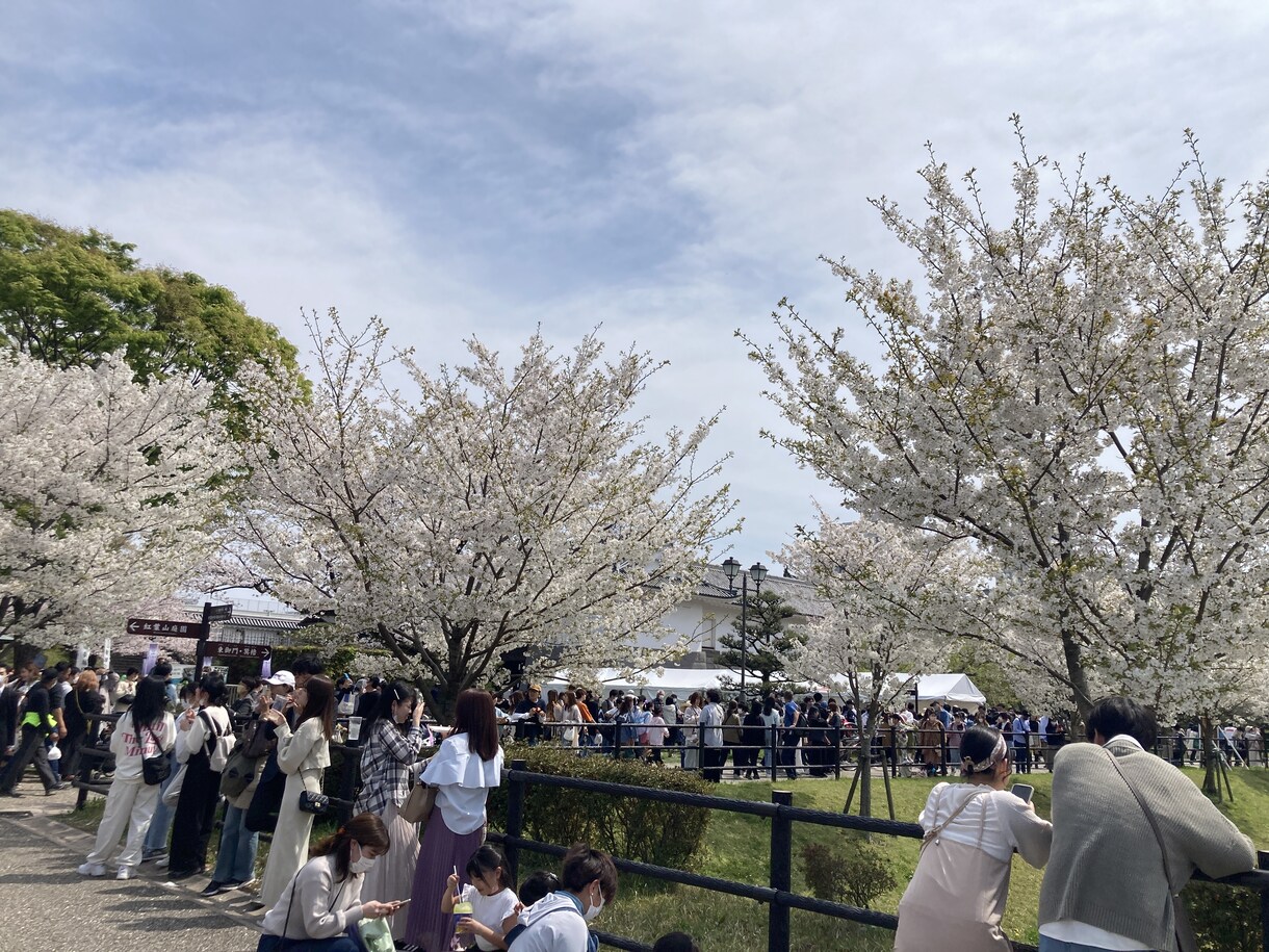健康相談、障害児相談、何でも話を聞きます 話して穏やかな気持ちになりましょう イメージ1