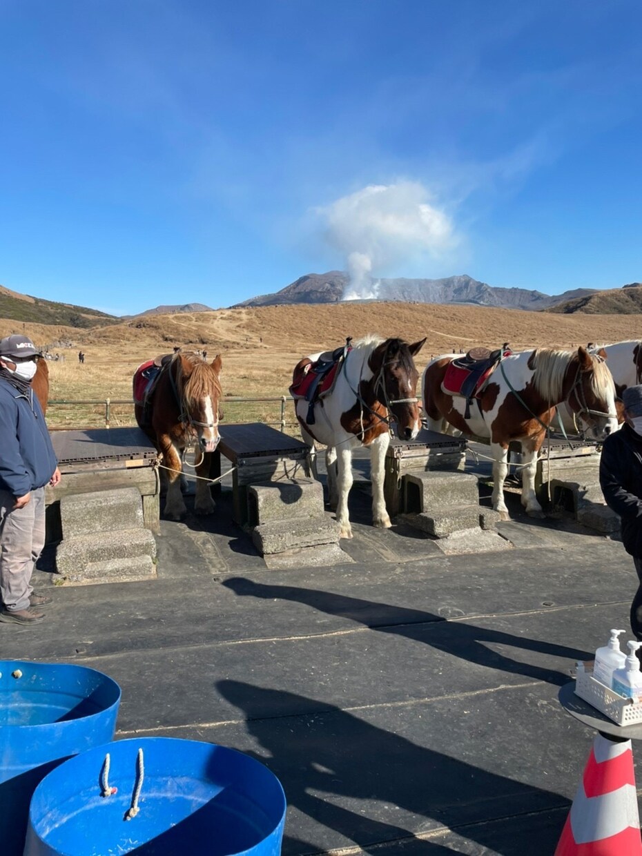 九州への旅行プランます 九州の温泉やグルメ、立ち寄り情報をあなたに合ったプラン設計 イメージ2
