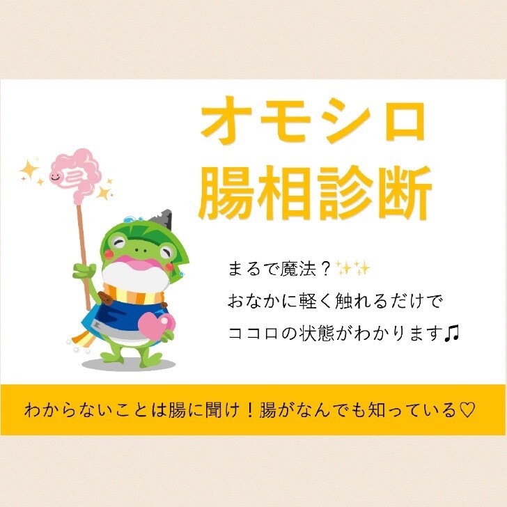 モヤモヤ、イライラの原因を腸が教えてくれます 腸相診断で心理状態や性格のクセ、深層意識のパターンを読み解く イメージ2