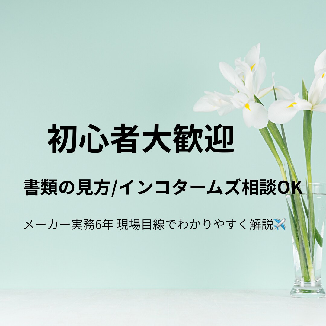 貿易初心者の疑問を解決します 貿易の基本から実務まで初心者向けにサポートします イメージ1
