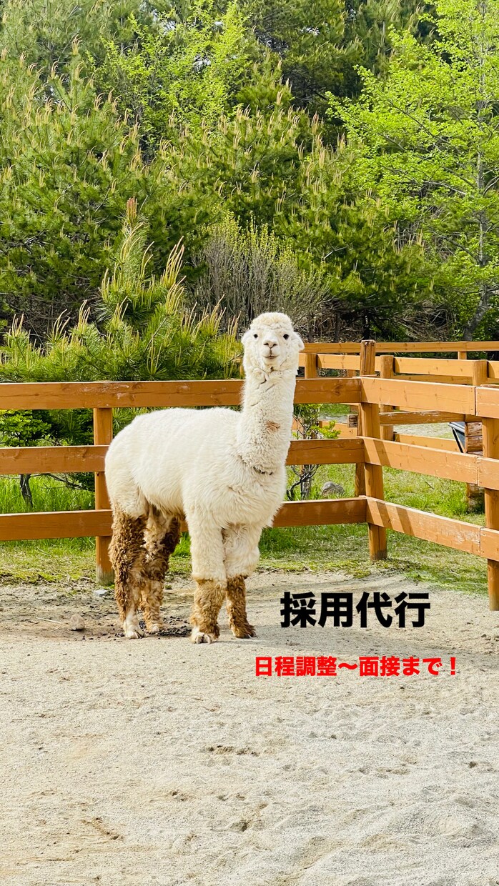 アルバイトの面接を代行します 採用代行ならお任せください！英語対応可能！お試し価格あり！ イメージ1