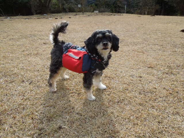 アウトドアをサポートいたします。 イメージ1