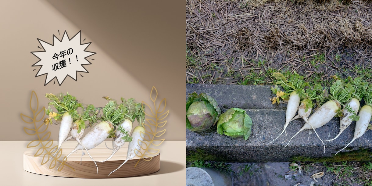 お客様の希望を聞いて画像を編集します 「あなたの"こうしたい"を、カタチにします」 イメージ2