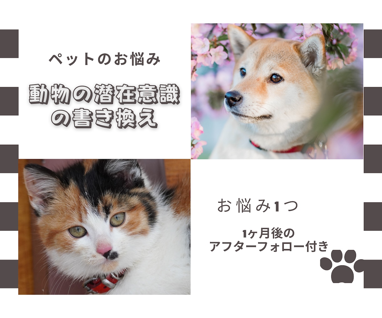 アニマルコミュニケーションします アフターフォロー付き　/　その行動、ちゃんと理由があります イメージ1
