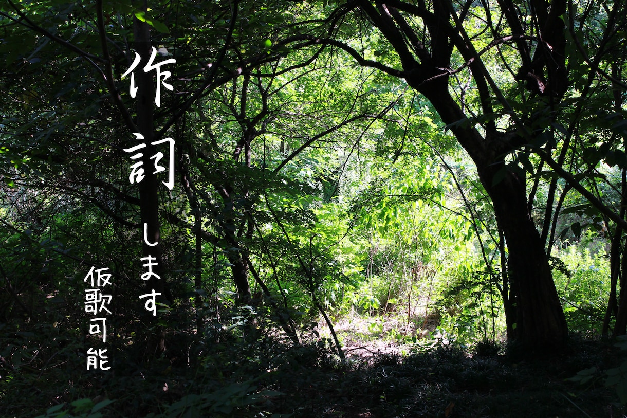 あなたの想い、歌詞にします あなただけの苦しみや喜びを音楽に。 イメージ1