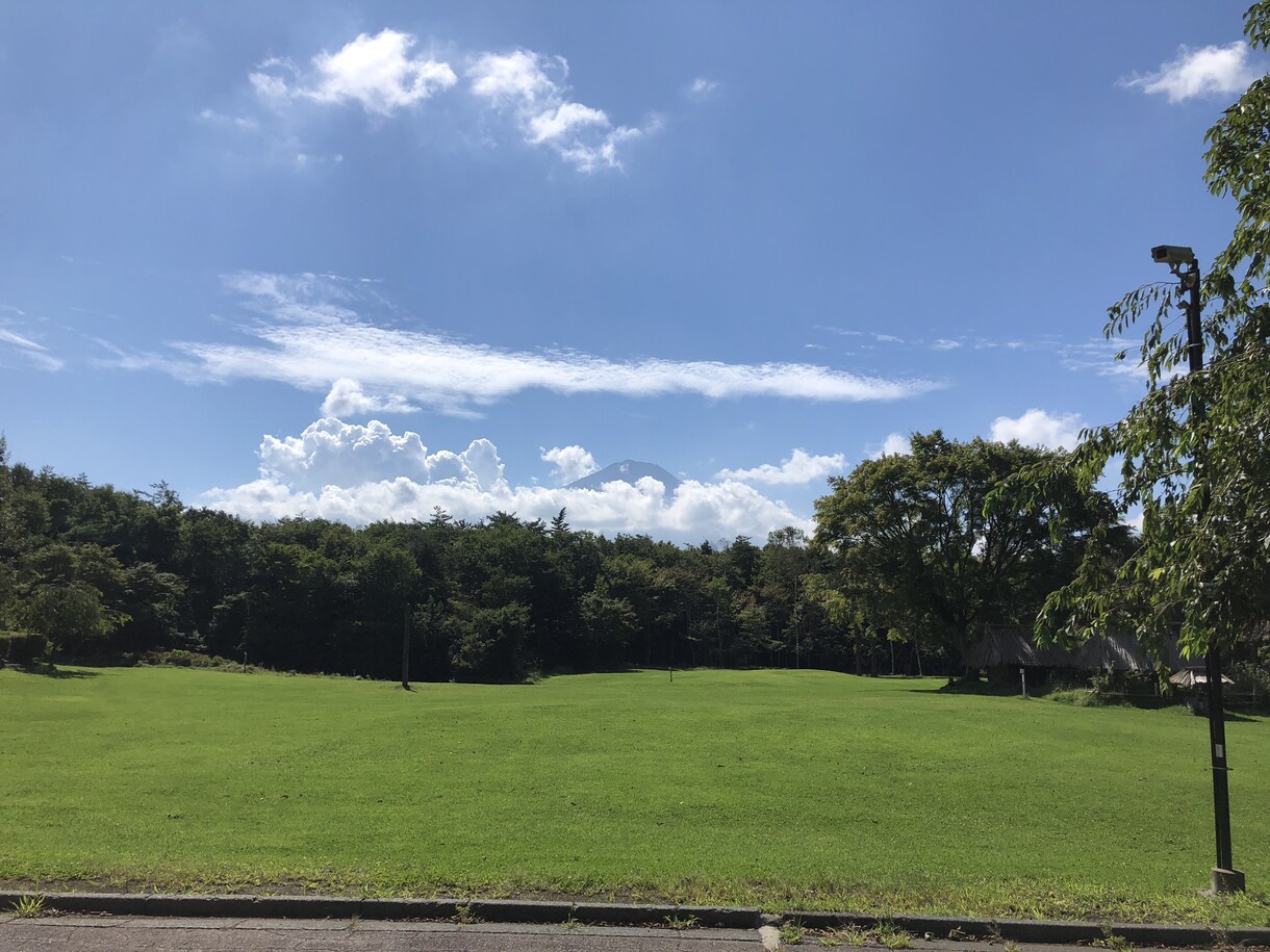 就職活動のモヤモヤを一緒に整理します 自分の考えをまずはそのままぶつけてください イメージ1