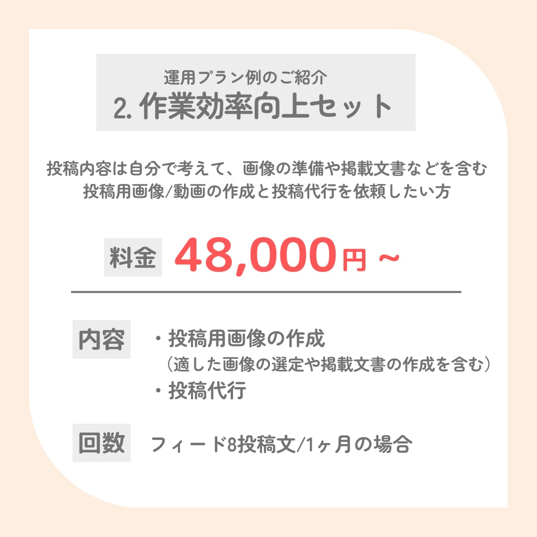 現役マーケターがInstagram運用代行をします 『画像制作のみ』から『全部おまかせ』まで！最適プランを提案！ イメージ4