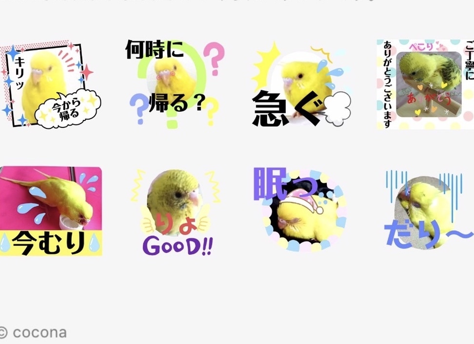 記念に✨写真で専用LINEスタンプお作ります ♡人物やペットのオリジナルLINEスタンプ♡家族用恋人仲間用 イメージ7