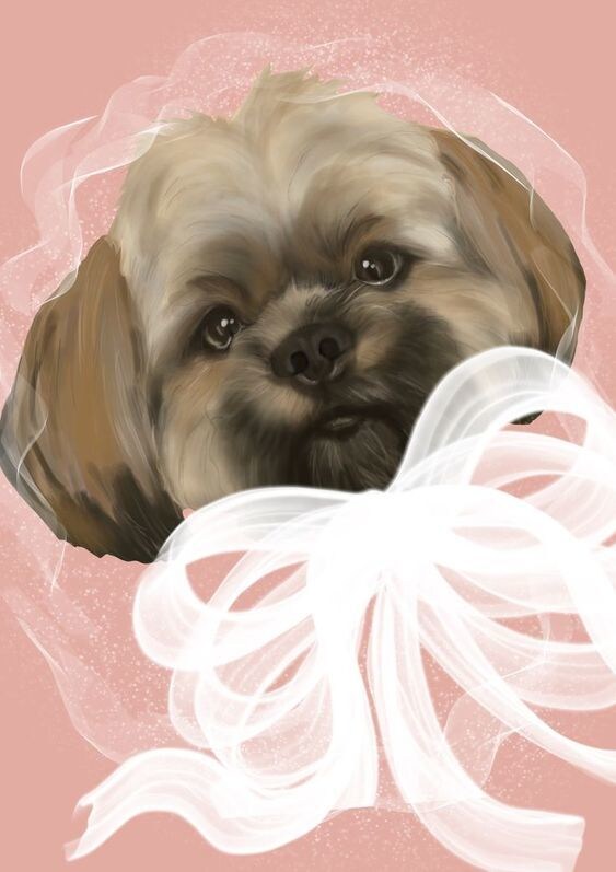 犬、猫、うさぎ、ハムスターなどのイラストを描きます 愛する家族をイラストにしませんか。 イメージ4