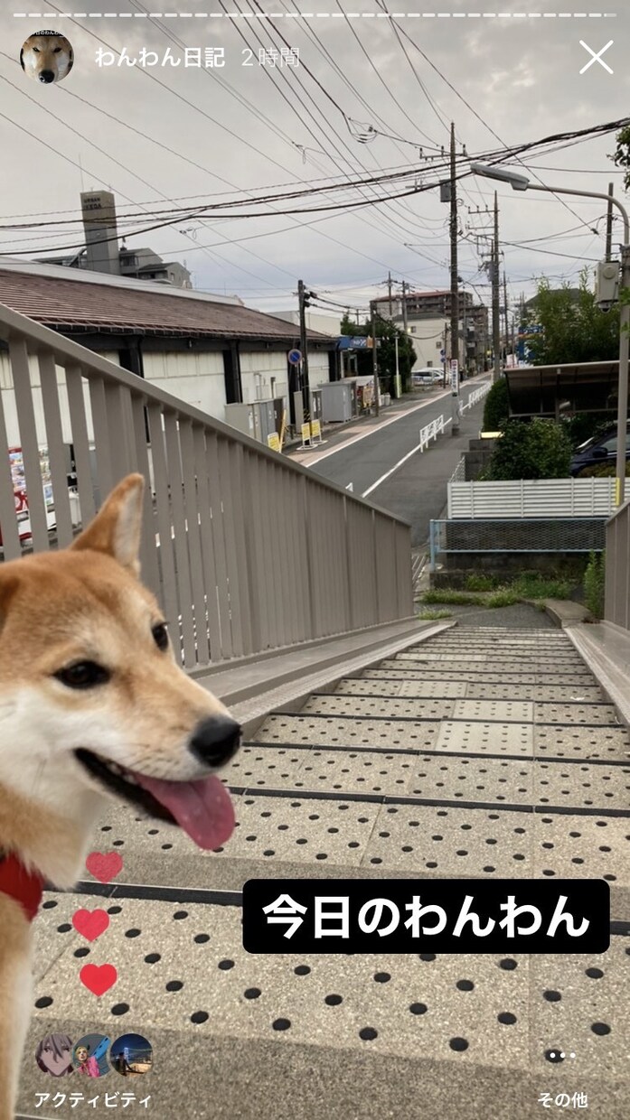 犬の飼い主同士の会話をします 飼い主同士の悩み事や面白い出来事について沢山お話し！ イメージ2