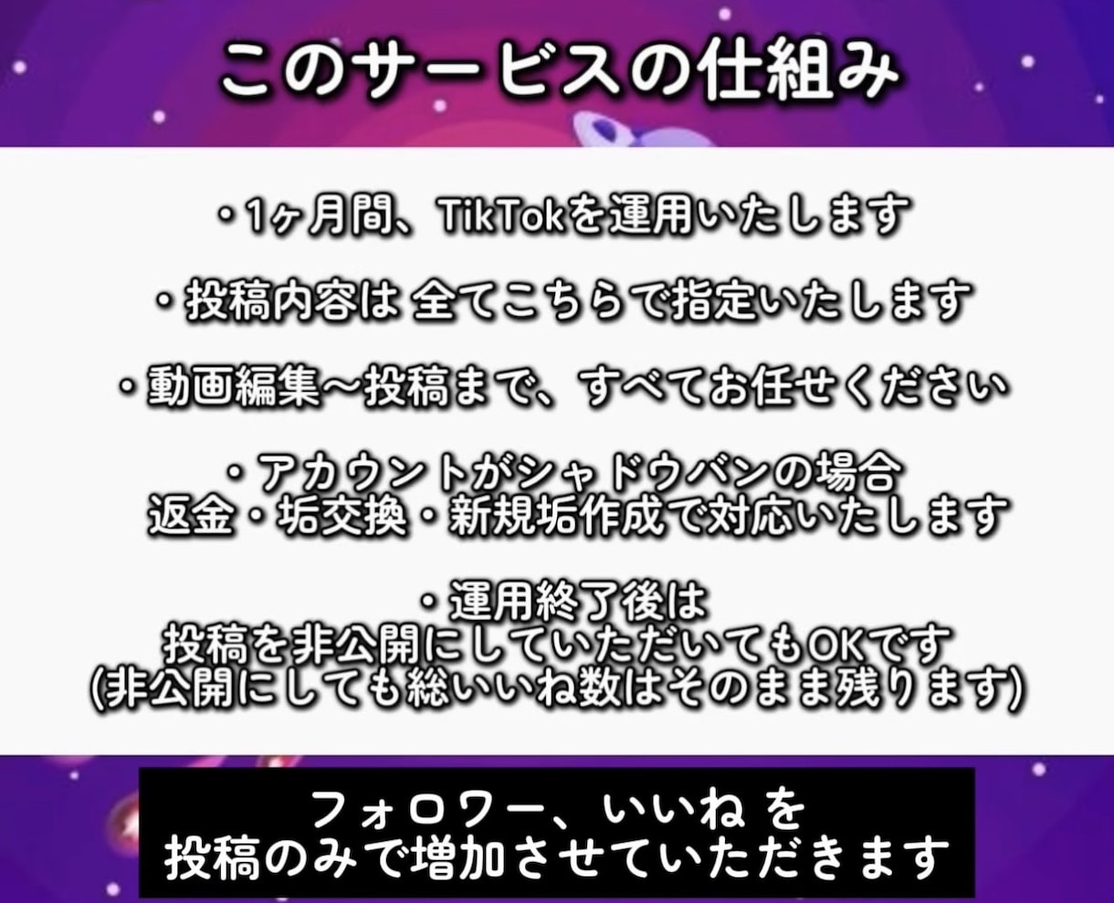 TikTok運用代行｜アカウントを伸ばします 1ヶ月で完全なTikTokの土台を作ります イメージ2