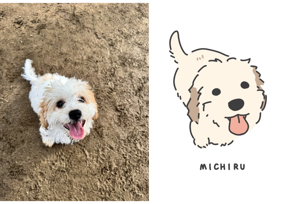愛犬のゆるかわ似顔絵描きます お写真からゆるかわいい似顔絵をお描きします。 イメージ2