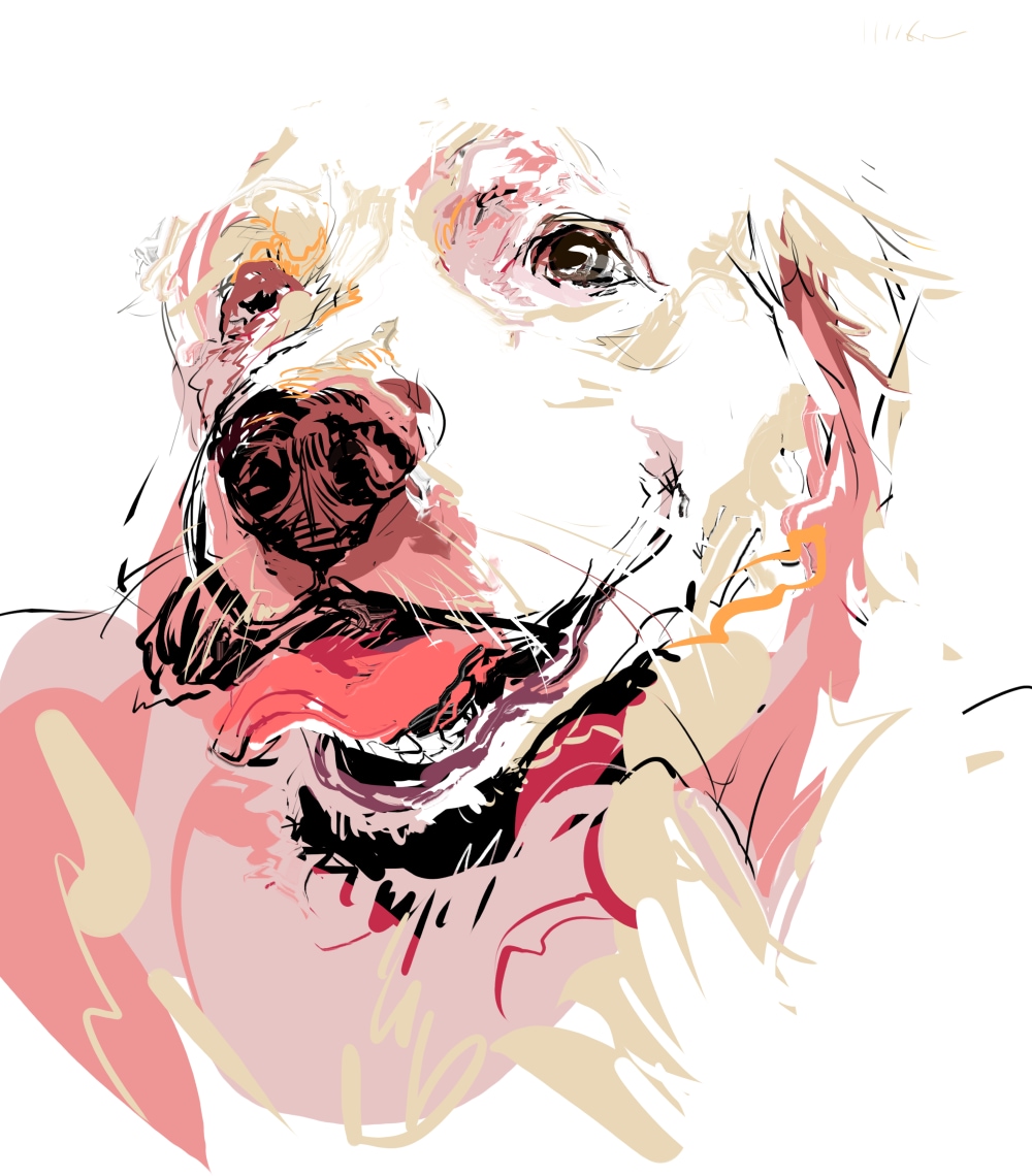 愛犬さんのイラスト お写真を元にかきます カード、はがき、グッズなどにも イメージ8