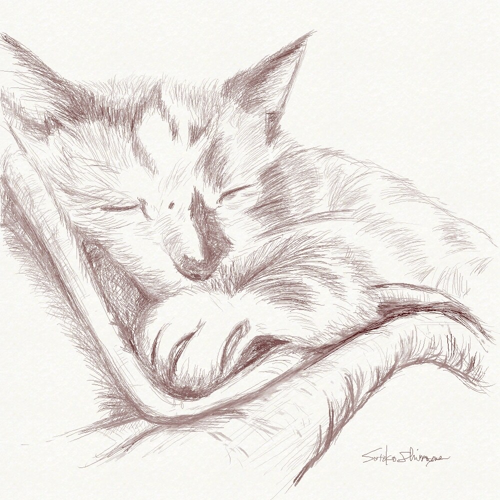 ペットの似顔絵をデジタル水彩画で描きます 大好きなペットの似顔絵をいろんなものにプリントしてみませんか イメージ6