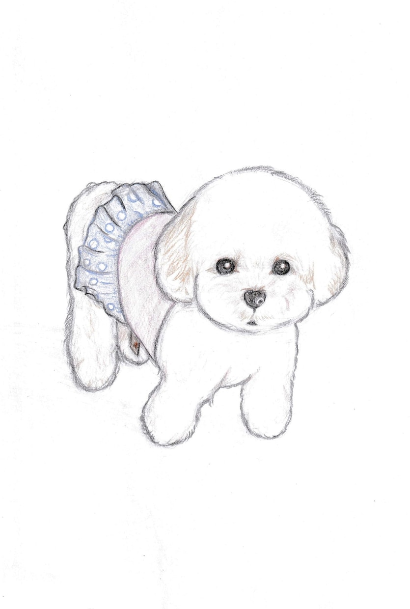 優しいタッチの似顔絵描きます 色鉛筆画であたたかみのあるイラストです イメージ5