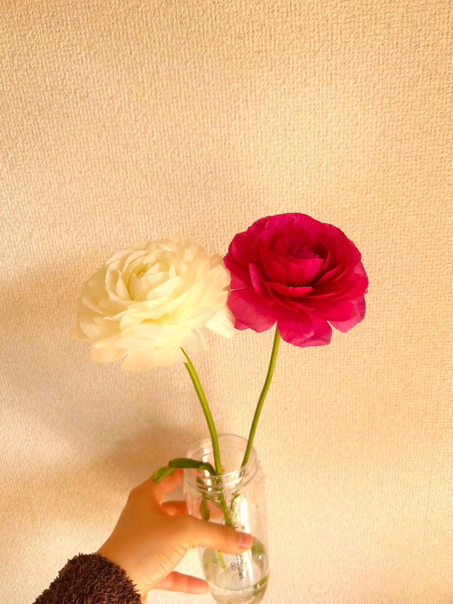 相談したい・愚痴聞いて欲しい方の心に寄り添います ちょっと相談・愚痴聞いて欲しい人集合！ イメージ1
