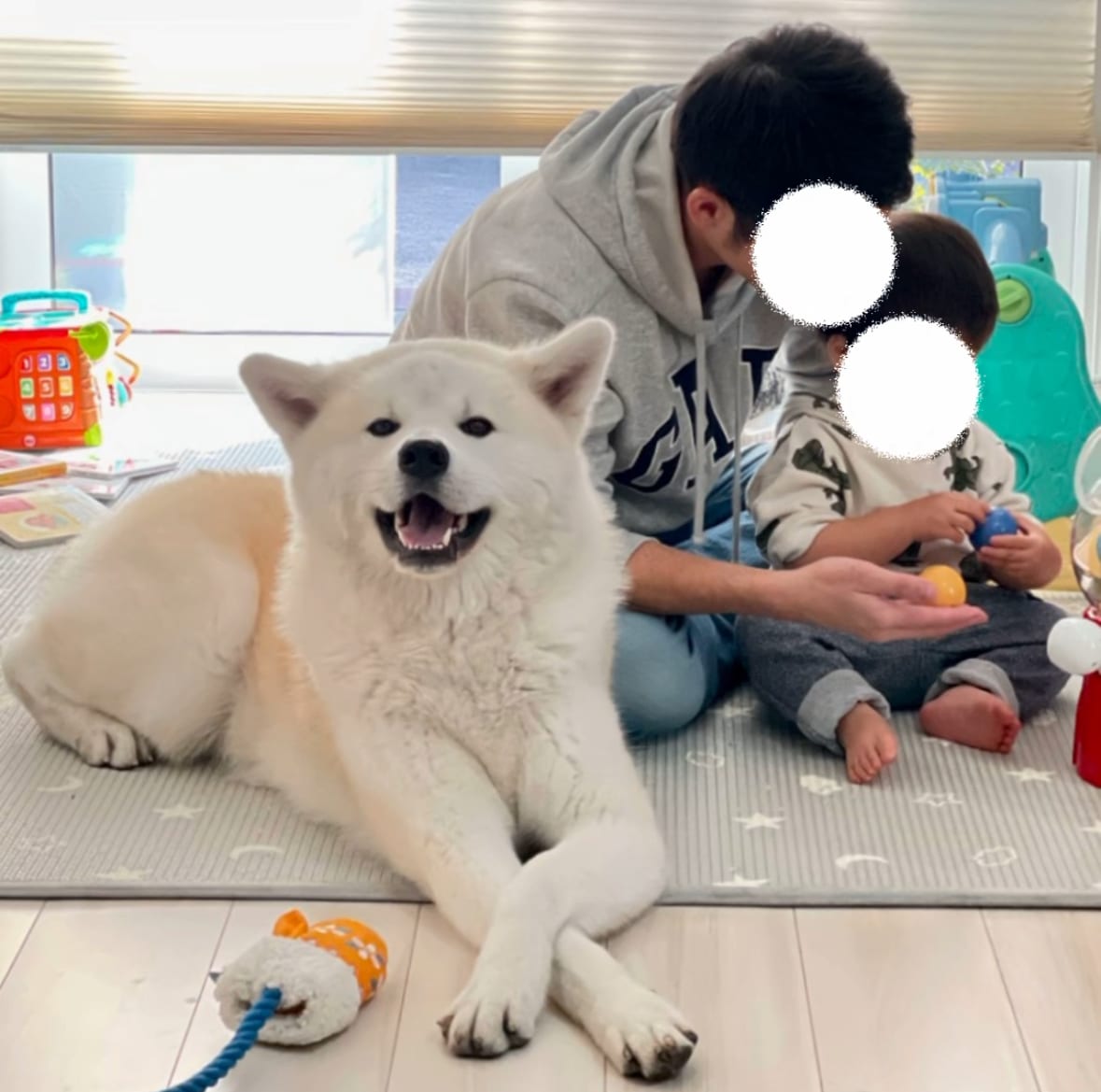 ペットと家族の日常を自然に撮影します スマホだからこそ撮れる、自然な家族の時間を残します イメージ3