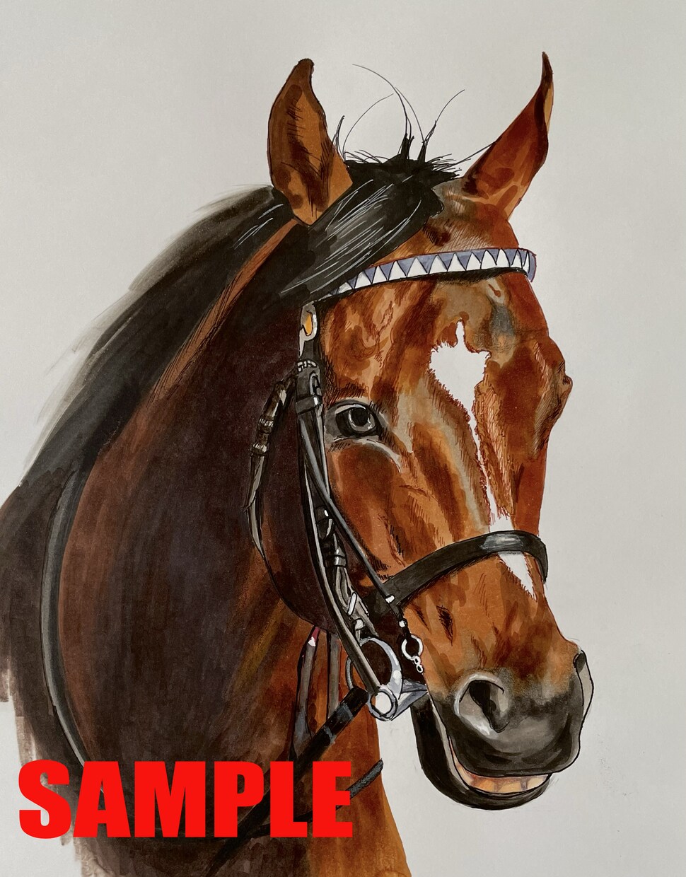 あなたのお気に入りの名馬のイラストを描きます コピックと色鉛筆を使い、リアルな絵を書きます イメージ1