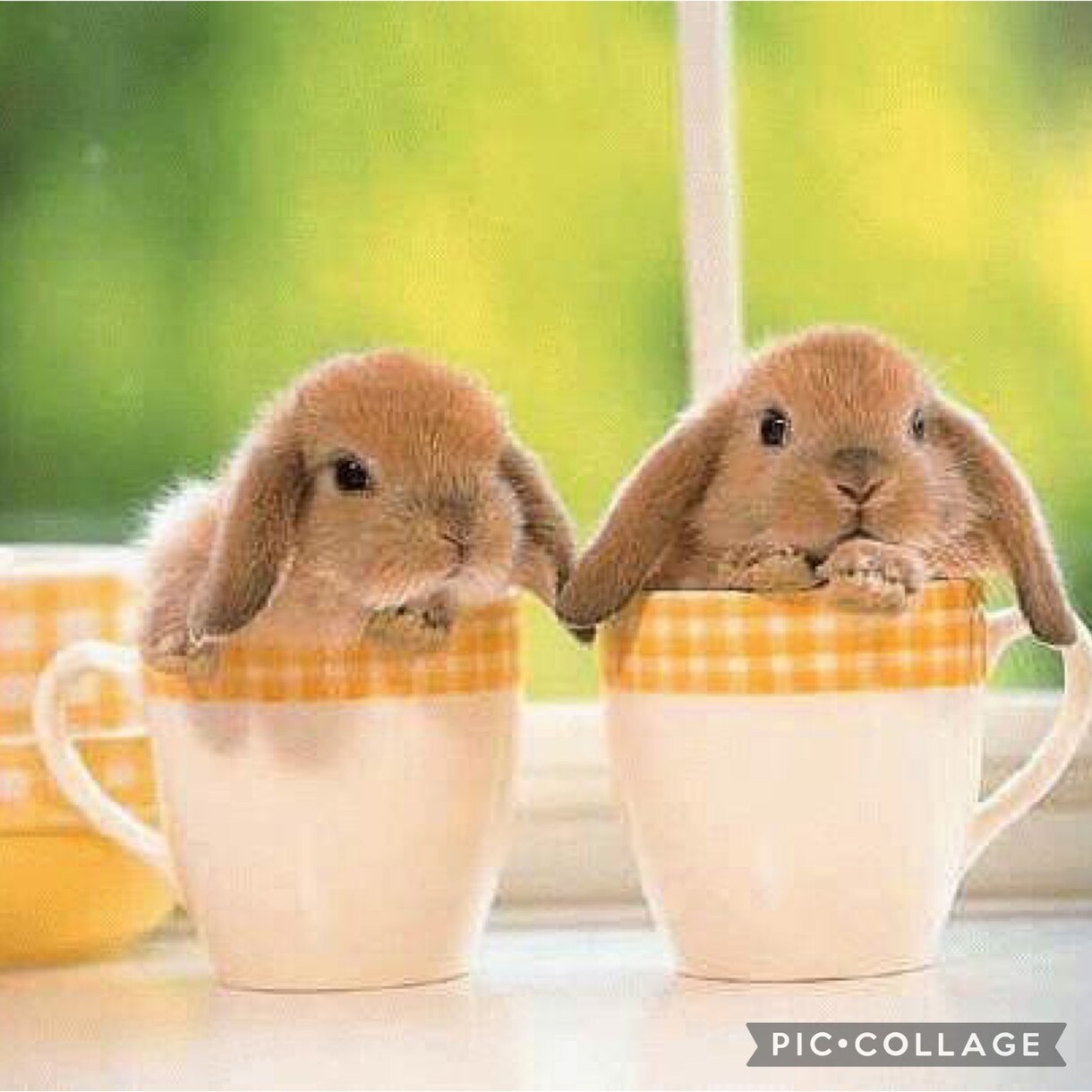 24時間LINE感覚♡ゆる~くチャットで癒します クーポン消化にも♡回数無制限で気楽にゆるゆるやり取りしましょ イメージ9