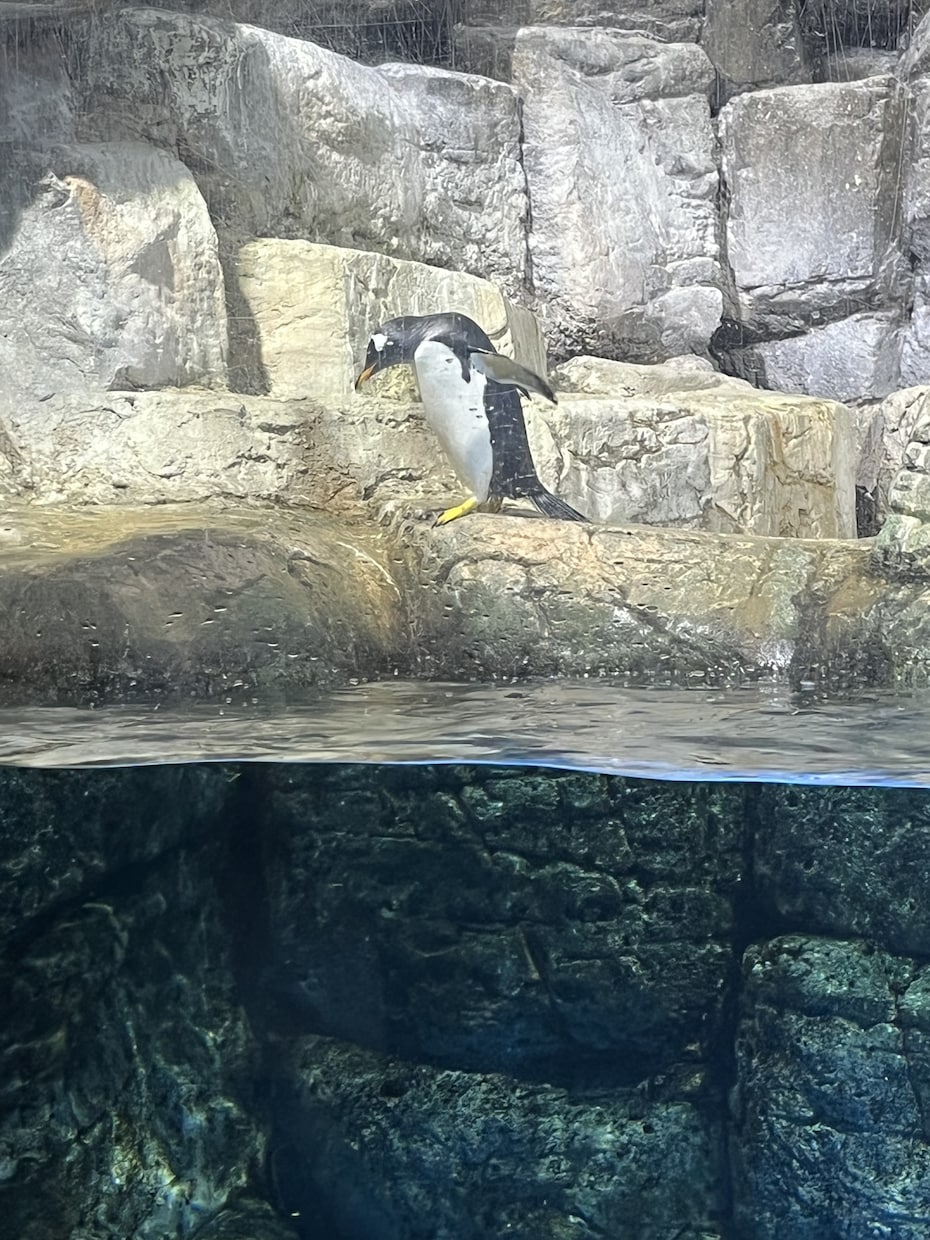 人生で悩んだり、恋愛等で悩んでいる方を導きます タロットカードエンジェルカードを使いお答えします。 イメージ2