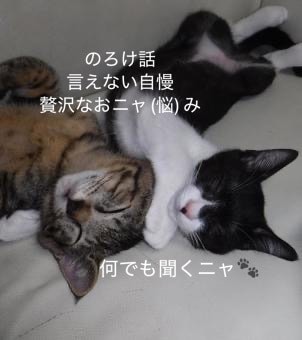 のろけ・自慢　全部ニャンと(ちゃんと)受け止めます のろけ 密かな楽しみ 自慢  推し活等　否定なし　安心してネ イメージ1