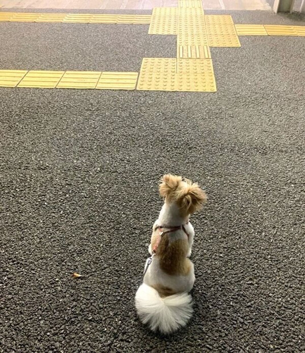 なんでも聞き、アドバイスします あなたの力になれるようにします イメージ1