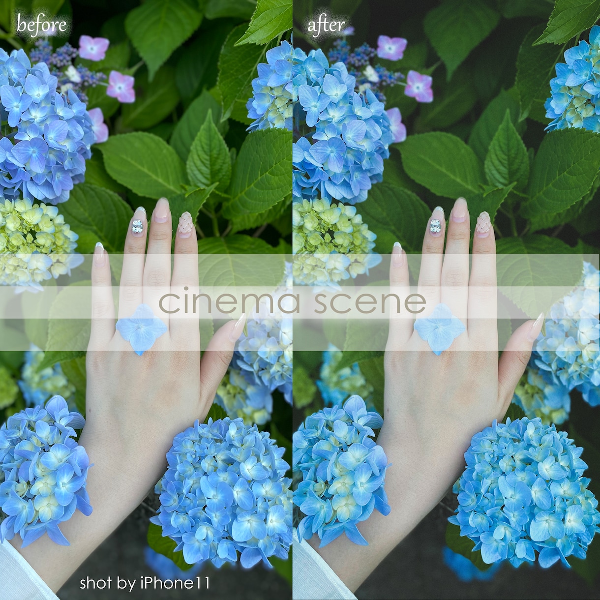 スマホで撮った写真を印象的な色味に仕上げます スマホ写真をワンタッチで雰囲気ある一枚に イメージ6