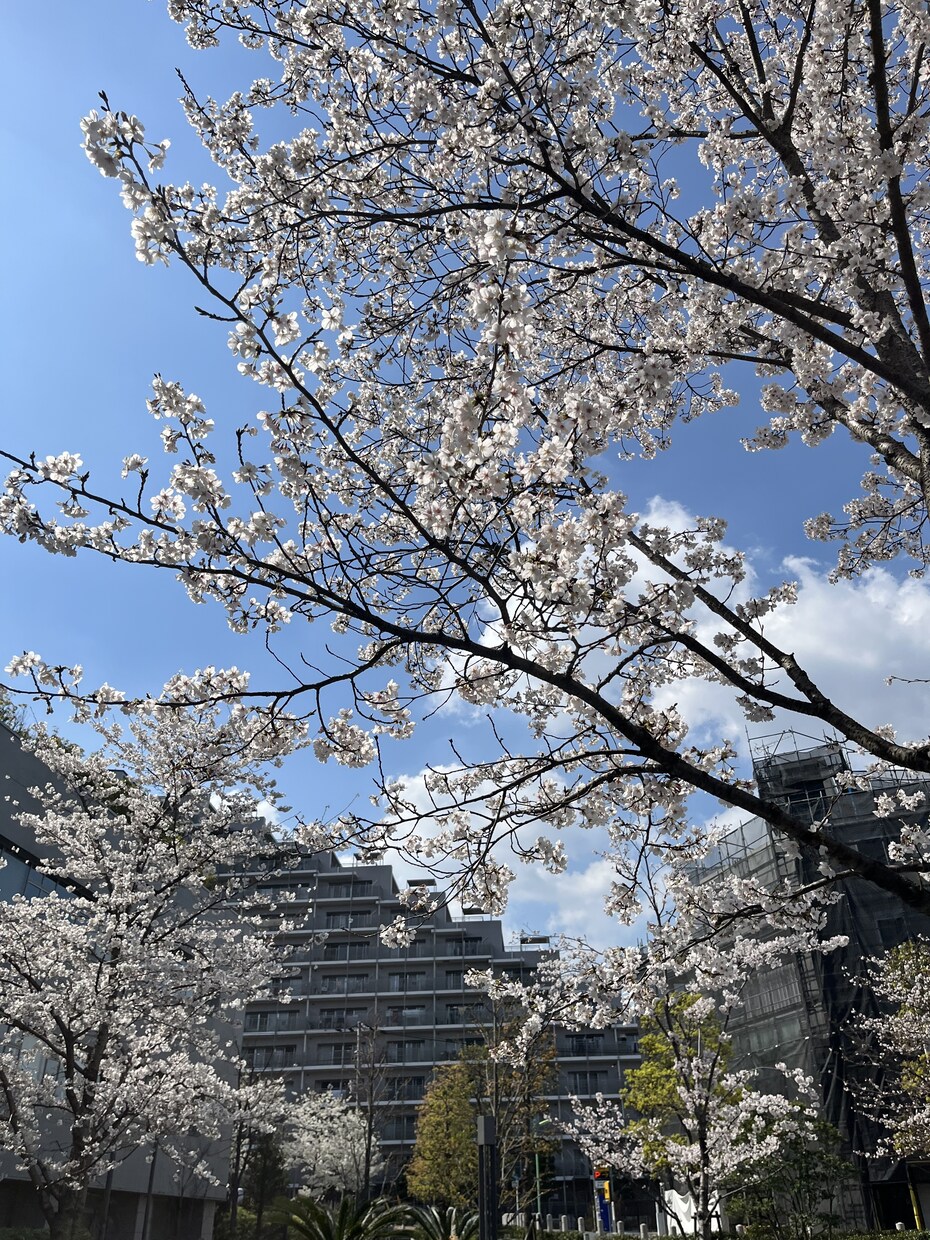 恋愛相談同じテンションで受け答えします 一緒に盛り上がれる、一緒に悩める、一緒に沈めるサービスです イメージ1
