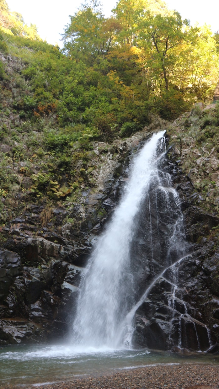 ご自身の性格や今後の運気を紐解きます 宿命は変えられないけど運命は変えられる イメージ2