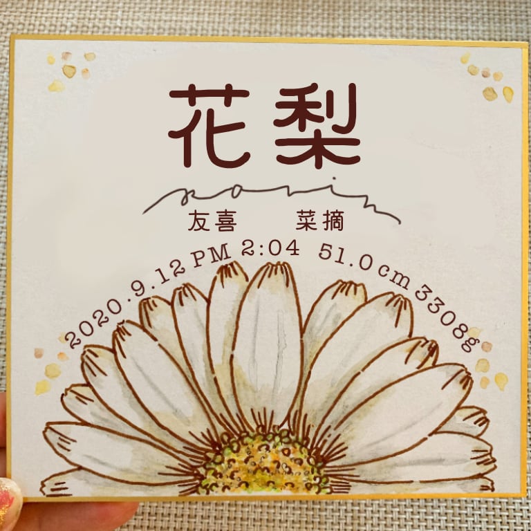 デザイン画卒が一輪花の命名書描きます 大きなお花の命名書です！文章臨機応変変更対応 イメージ4