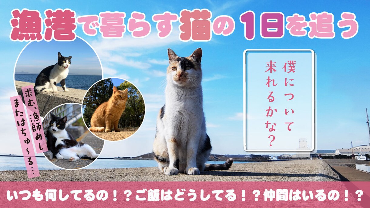 やさしいYouTubeサムネイル製作いたします 辻ちゃんネル風や虹プロ風も！ほっこり・女性や夫婦・家族向け♪ イメージ3